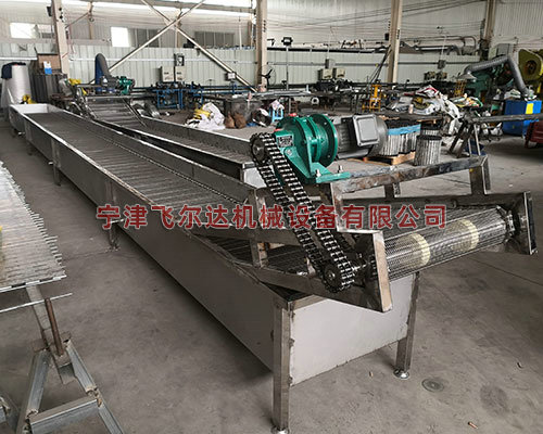 網帶式氣泡清洗機